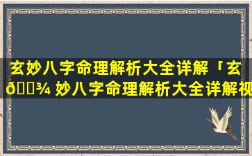 玄妙八字命理解析大全详解「玄 🌾 妙八字命理解析大全详解视频」